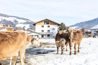 Hus Appartement - Nr. 4 - Olang - 9