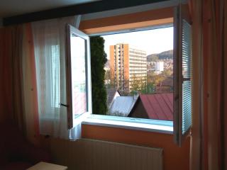 Penzion Na Výsluní - Zlín - 8