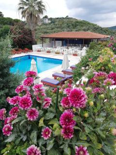 Hotel Paradise - Vassilias - 2