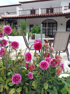Hotel Paradise - Vassilias - 4
