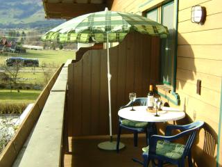 Ferienwohnung Fred - Hollersbach im Pinzgau - 1