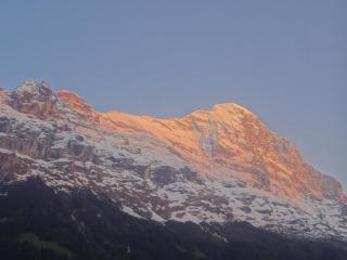 Hotel Bel-Air Eden - Grindelwald - 2