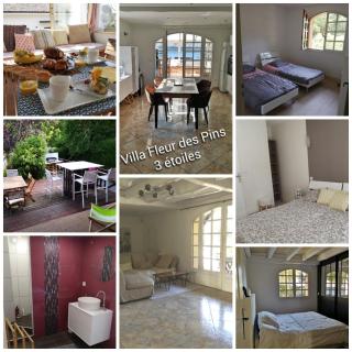 Villa Fleur des Pins 14 personnes 3 étoiles Bassin Arcachon - Gujan-Mestras - 0