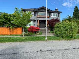 Corkscrew Willow Estate - 1