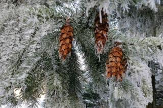 Landhaus Haid - Presseck - 1