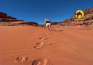 Wadi Rum Dew - Wadi Rum - 7