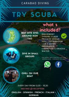Carabao Diving Koh Tao - 9