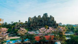 Tea Resort - Bảo Lộc - 5