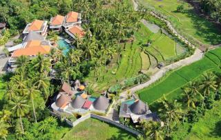 Green Field Resort Ubud - Ubud - 6