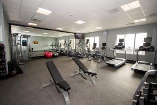 Holiday Inn Express & Suites Denver South - Castle Rock by IHG - Castle Rock - 3