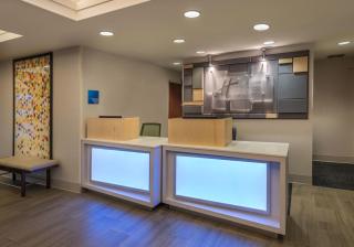Holiday Inn Express Hotel & Suites Carson City by IHG - Carson City - 6