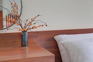 The Flamboyant #StayWork Vinhomes Imperia - Hai Phong - 2