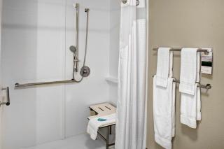 Holiday Inn Express & Suites Coldwater by IHG - Coldwater - 8