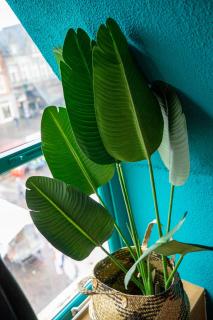 Bambu Sleep Boutique - Haarlem - 2