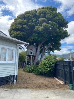 Knights rd beauty - Lower Hutt - 3