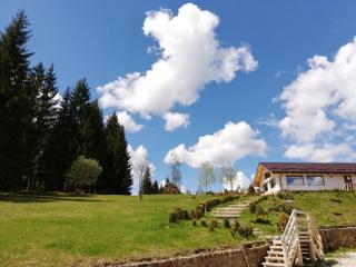 Pensiunea L`Amoro - 0