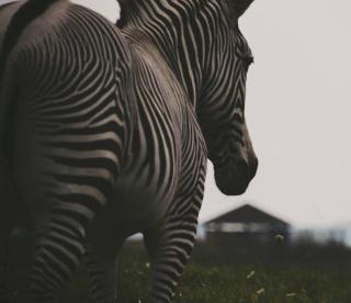 Holiday Inn Express & Suites Zanesville North by IHG - 1