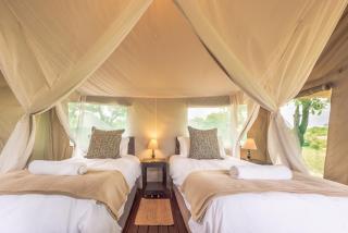 Shindzela Tented Camp - Timbavati Game Reserve - 7