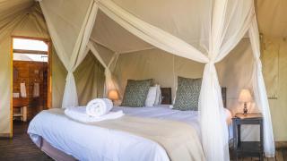 Shindzela Tented Camp - Timbavati Game Reserve - 3