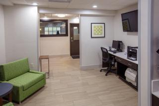 Holiday Inn Express Hotel & Suites Harriman by IHG - Harriman - 3
