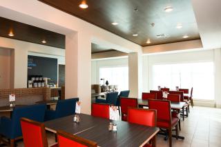Holiday Inn Express Hotel & Suites New Boston by IHG - New Boston - 7