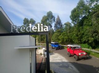 Fredelia homestay - Bromo - 1