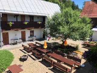 Pension Untere Rauner Muehle - Bad Brambach - 3