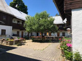 Pension Untere Rauner Muehle - Bad Brambach - 5