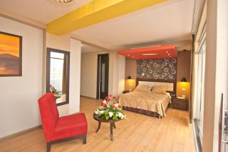 Plaza Sur Hotel & Suites - Tacna - 5