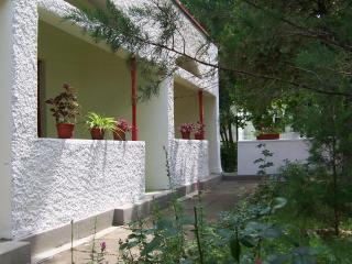 Pensiunea Ruxandra - 2