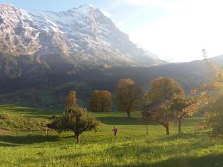 Chalet uf em Stutz 2 - Grindelwald - 2