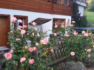 Chalet uf em Stutz 2 - Grindelwald - 5