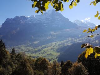 Chalet uf em Stutz 2 - Grindelwald - 4