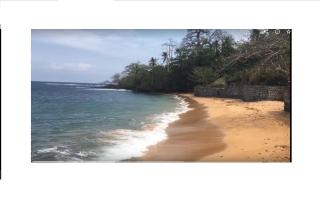 Domus Guesthouse - 9