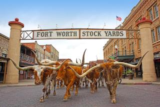 Holiday Inn Express Hotel and Suites Fort Worth/I-20 - 1