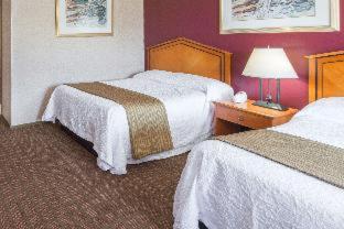 Elite Inn - 5