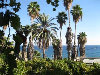 Alex - Nancy Apartments - Zaga Beach - Koroni - 5