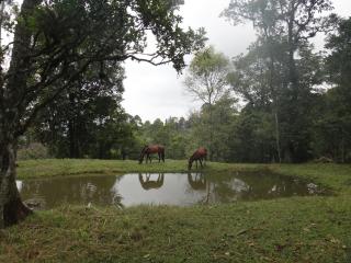 Imagen del lugar