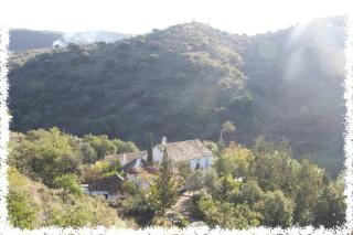 Cortijo Casas Viejas - Málaga - 9