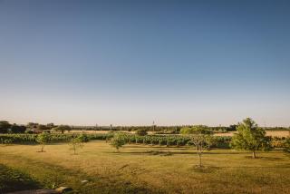 El Legado Wine Lodge - 6