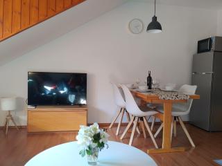 Ajda apartment - Kranjska Gora - 9