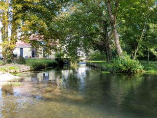 Rotteleux rivière - 4