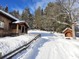 Gamlestugu Greivjord Fjellgard - Tuddal - 3