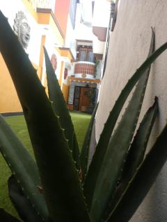 Casa Mexicana Patio - Città del Messico - 8