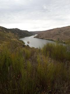Mirador del Duero - Zamora - 5