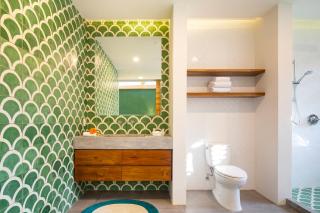 The Gilded Iguana - 4