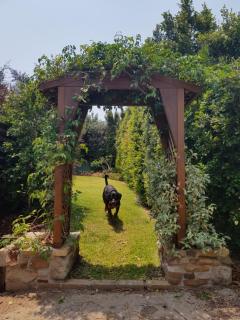 Sundowner Cottage - 9