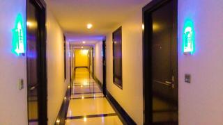 Vareena palace hotel - 2