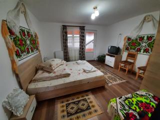 Casa Pintea de Sub Coastă - 9