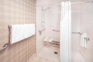 Holiday Inn & Suites Chicago-Carol Stream Wheaton by IHG - Carol Stream - 8